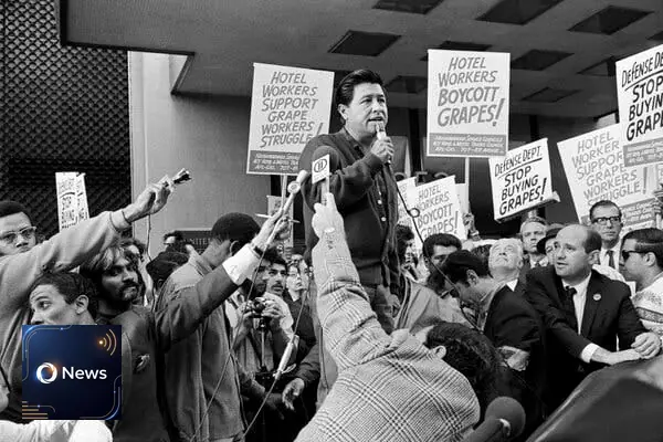 تحقيق يكشف تاريخاً مظلماً من الاعتداءات  الجنسية لسيزار تشافيز  : سقوط أيقونة الحقوق المدنية